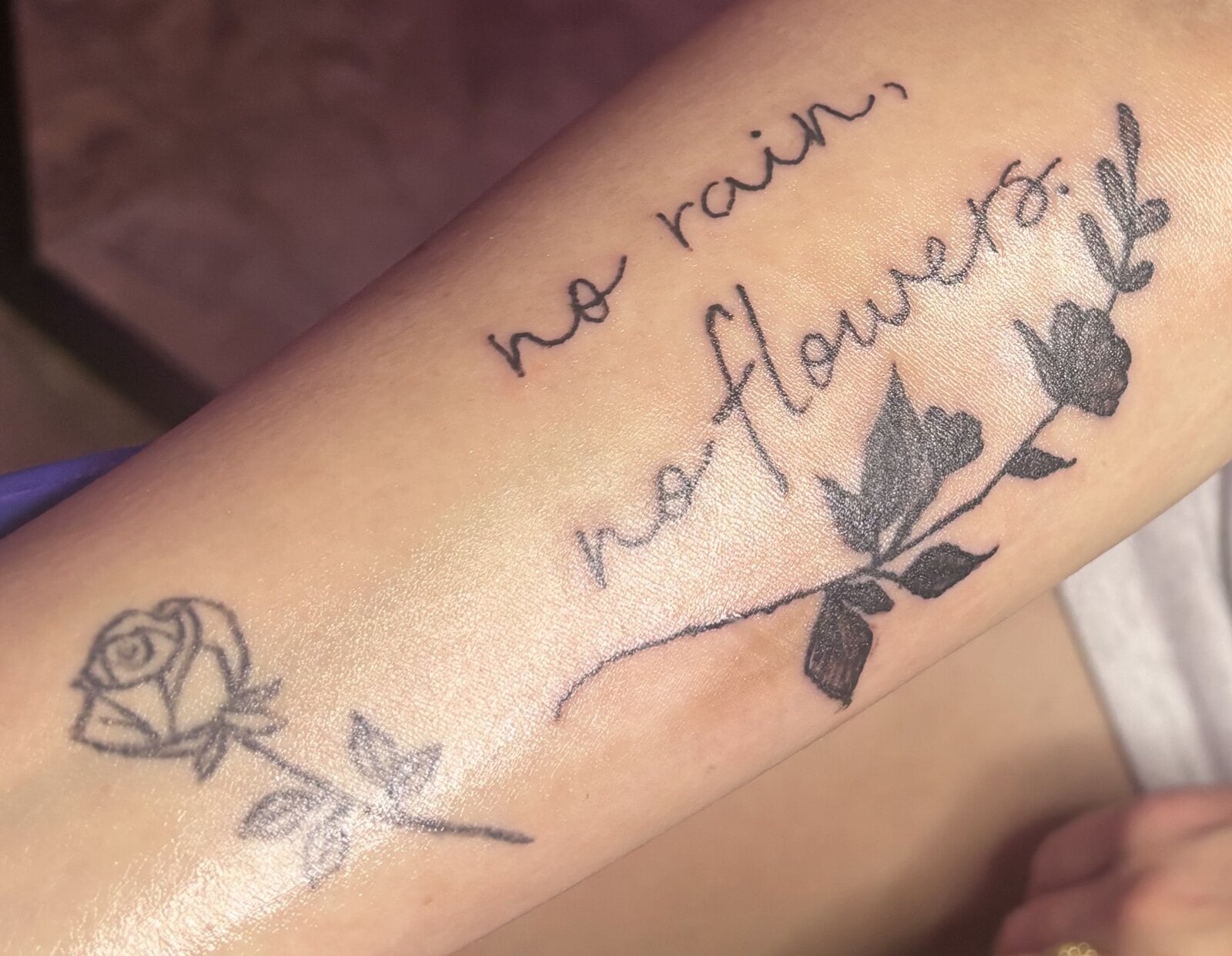 The words no rain, no flowers in handwritten script beside two roses